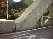 1572  PERUCATTI  2006.JPG